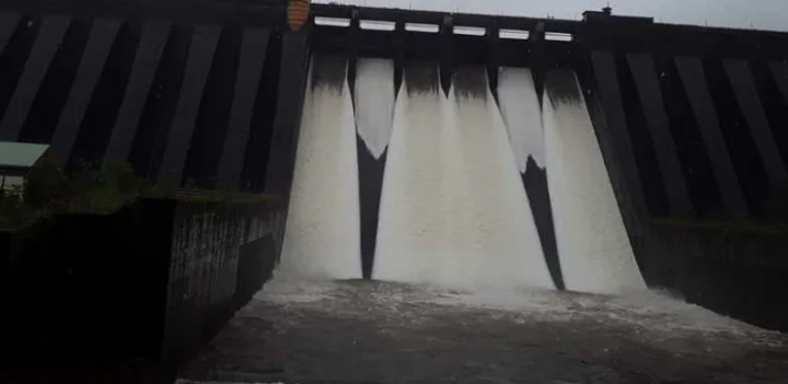 Koyna Dam Water is being released from Koyna Dam.Maharashtra News Regional News in marathi webdunia marathi