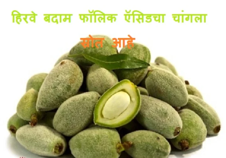 green-almonds-helps-in-weight-loss-know-these-5-benefits