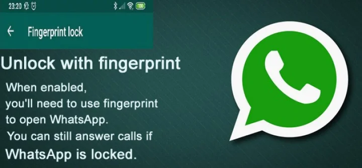 whatsapp introduces