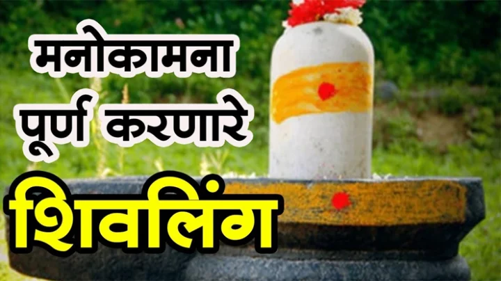 different types of shivling