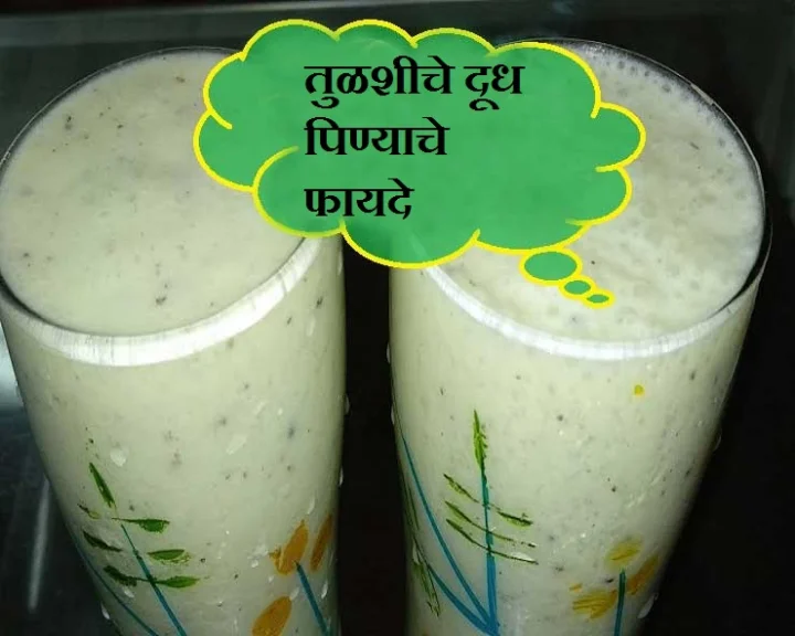 tulsi milk