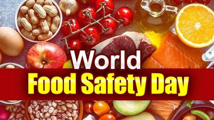 जागतिक अन्न सुरक्षा दिन मार्गदर्शक तत्त्वे, 5 मुद्दे