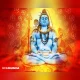 जर तुम्हाला वाहन सुख हवा असेल तर सोमवारी हा सोपा उपाय करा