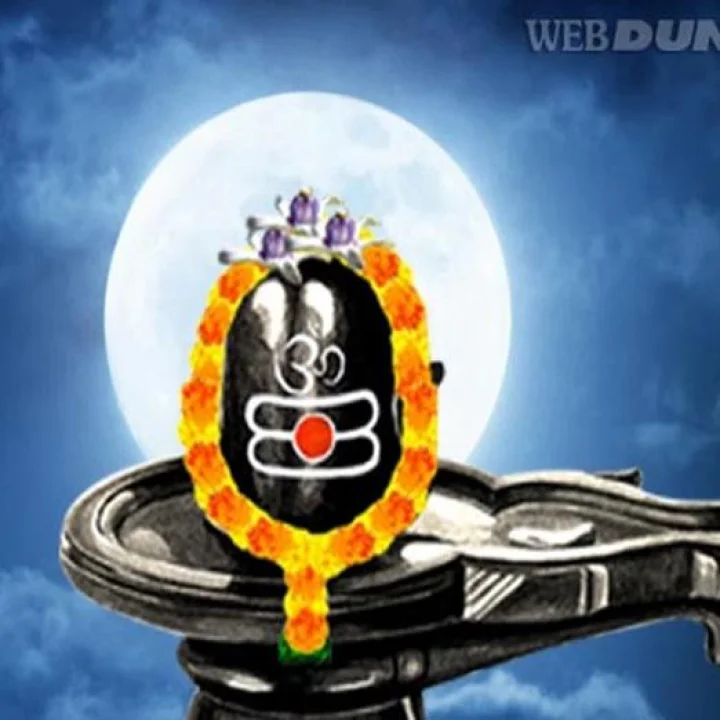 Shivlinga Puja Niyam: शिवलिंगाची पूजा कशी करावी? शिवपुराणातील हे नियम जाणून घ्या