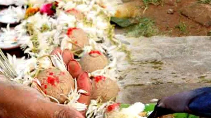 श्राद्धात असणारे खाद्य पदार्थ आणि कावळ्याचे महत्व