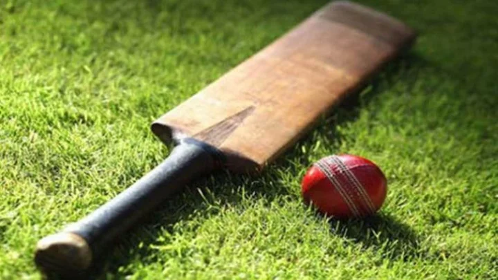 IPL 2022-पर्पल कॅपसाठी चहल आणि हसरंगा यांच्यातील लढत सुरू
