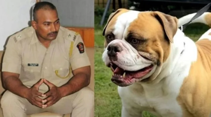 Assistant Commissioner