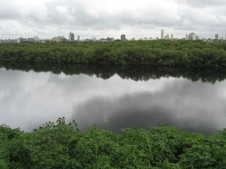 mithi river