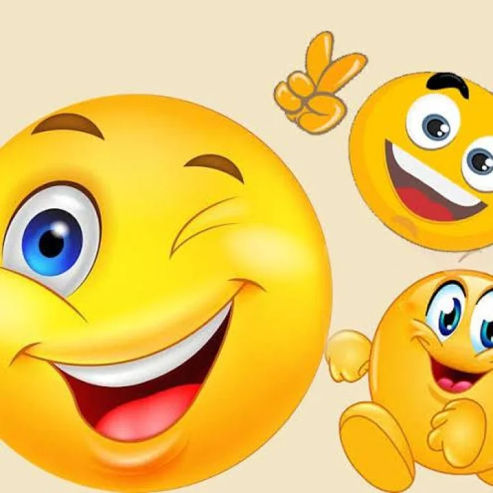 मजेदार जोक :आम्ही वऱ्हाडी मंडळी