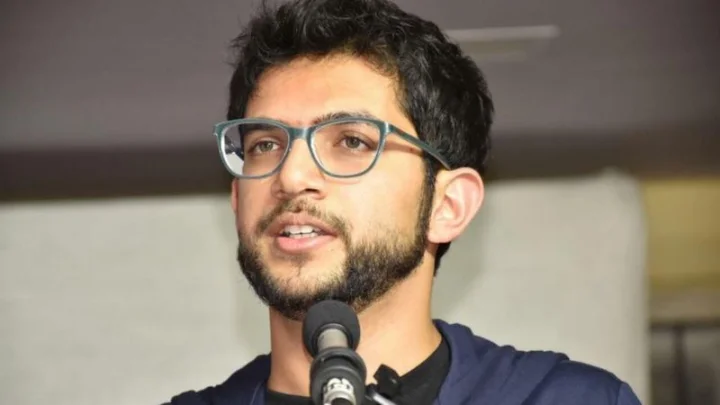 Sridhar Patankar: After Mama Patankar