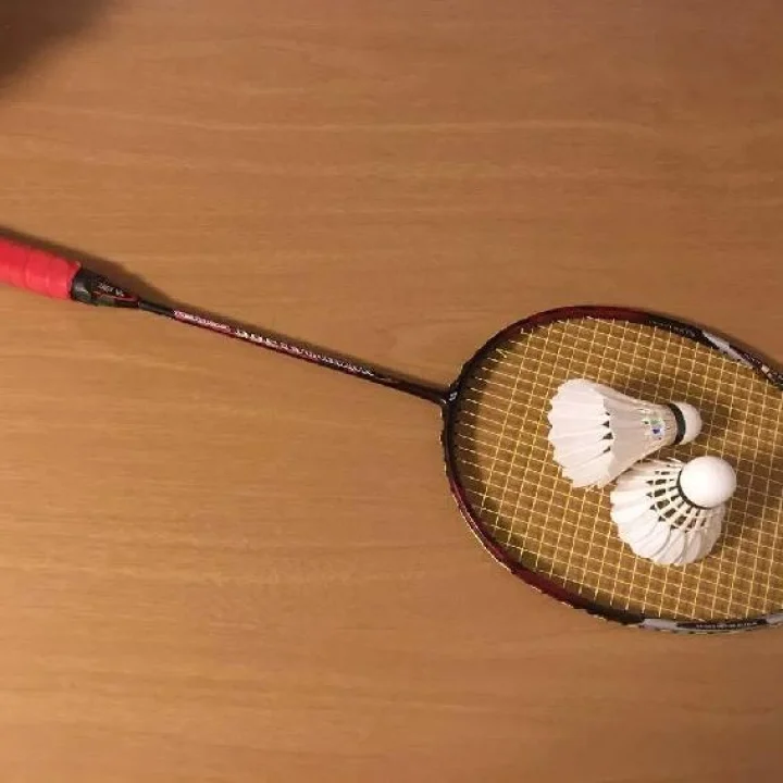 भारतीय महिला बॅडमिंटन संघाची उत्कृष्ट कामगिरी करत उपांत्यपूर्व फेरीत स्थान निश्चित