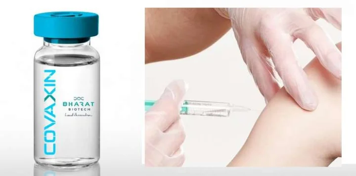 US denies covacaine in India will have to wait for approval maharashtra news coronavirus news in marathi webdunia marathi
