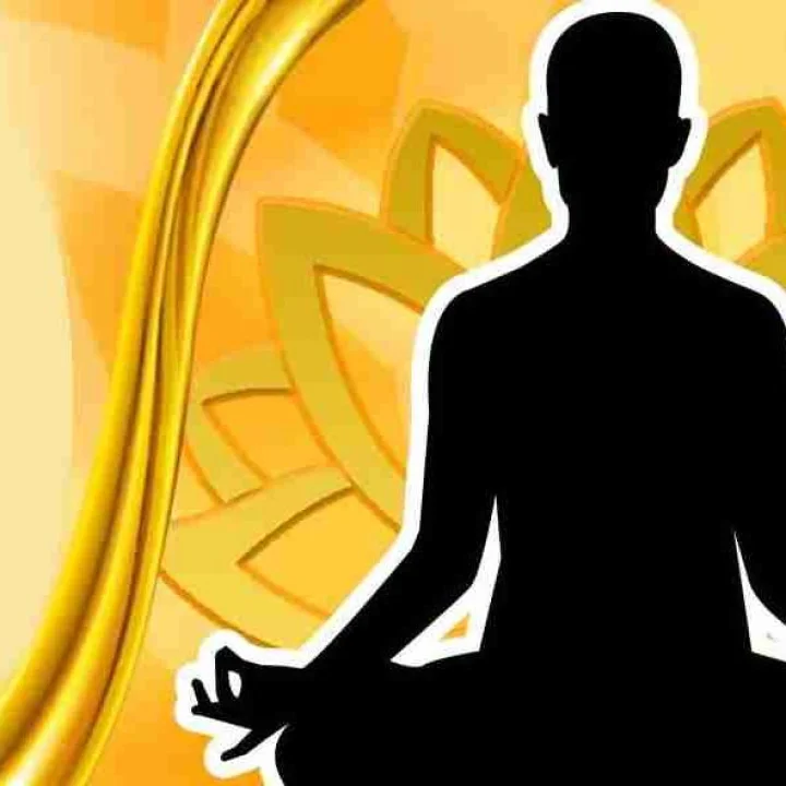 World Heart Day 2023: योगाद्वारे हृदयाची काळजी कशी घ्यावी