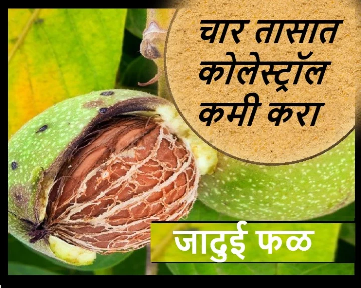 fruit for control cholesterol