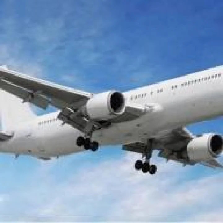 Snake in Plane: एअर इंडिया एक्स्प्रेस फ्लाइटच्या कार्गो होल्डमध्ये सापडला साप