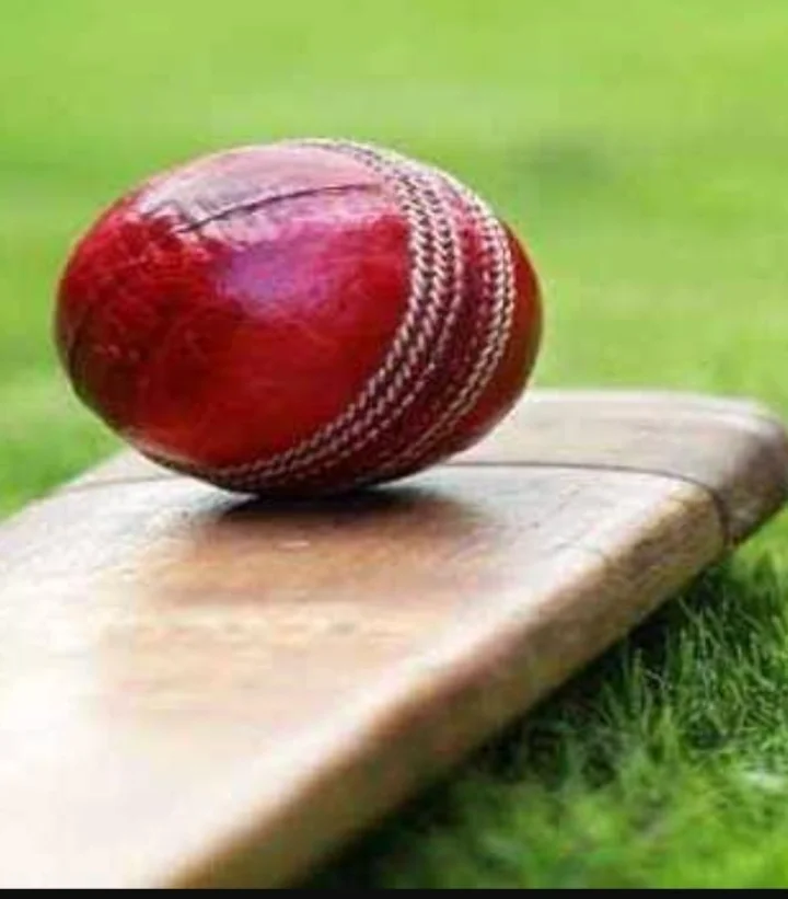 Pak vs Eng   royal welcome and now clash in the World Cup final cricket News In marathi