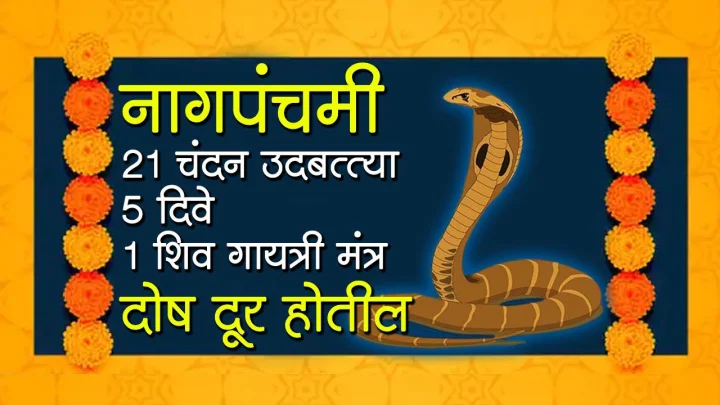 या शिव गायत्री मंत्राने नागदेवतेची पूजा करा