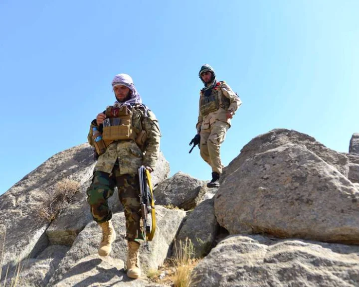 Panjshir: 700 Taliban killed