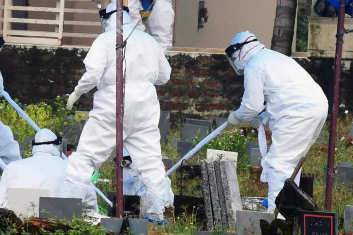kerala nipah virus