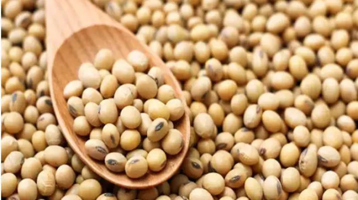 सोयाबीनचे भाव वाढूनही शेतकरी खूश नाहीत, जाणून घ्या संपूर्ण प्रकरण