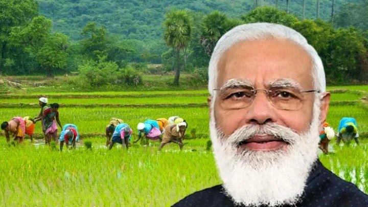 सरकारने MSP द्वारे शेतकऱ्यांच्या खात्यात 2.37 कोटी पाठवले, जाणून घ्या अर्थसंकल्पात शेतकऱ्यांना काय मिळाले