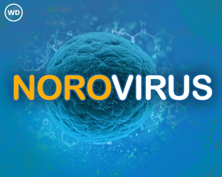 norovirus