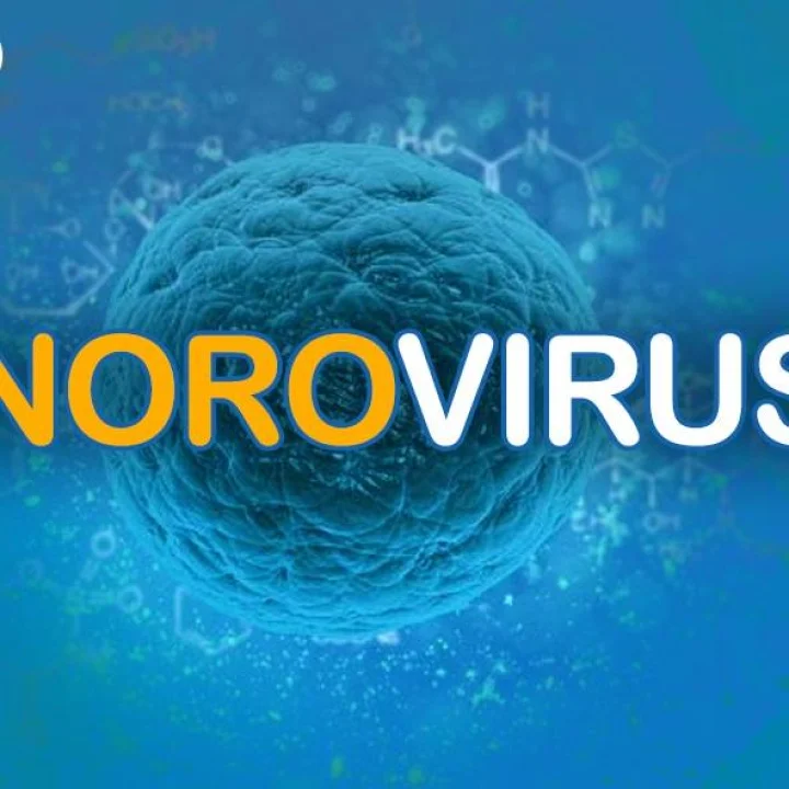 Norovirus :केरळमधील 19 विद्यार्थ्यांमध्ये आढळला कोरोनासारखा धोकादायक नोरोव्हायरस