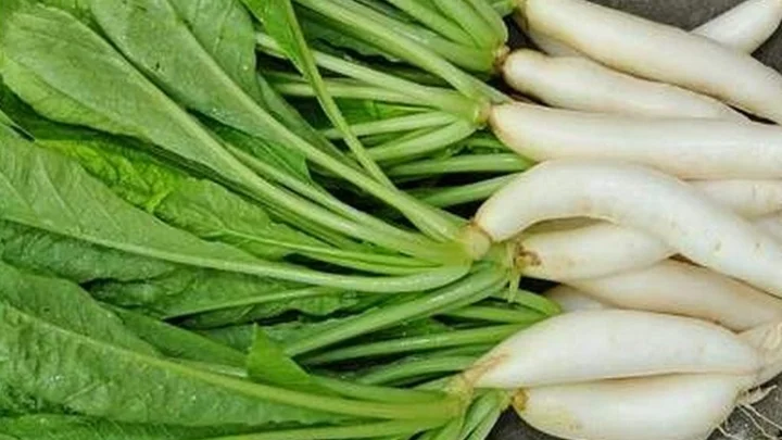 radish in winter