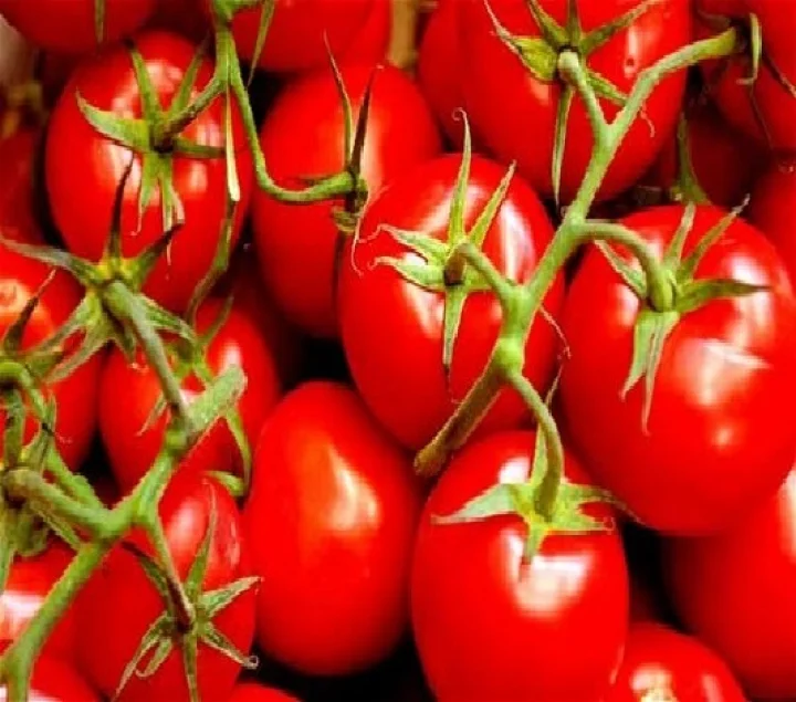tomato