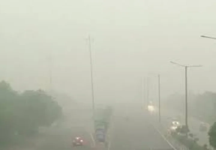 A blanket of fog in Mumbai after unseasonal rains अवकाळी पावसानंतर  मुंबईत धुक्याची चादरMaharashtra News Mumbai Marathi  News  In Webdunia Marathi