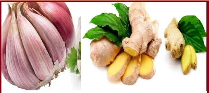 Make ginger garlic paste in winter and store it this way