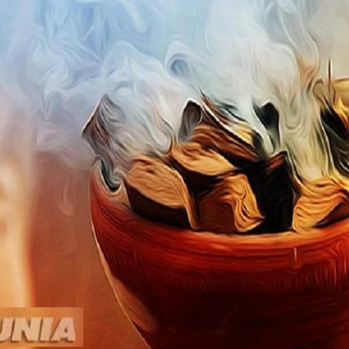 19 वनौषधींपासून तयार होणारी आयुर्वेदिक एयरवैद्य उदबत्ती कोरोनावर उपचार करेल