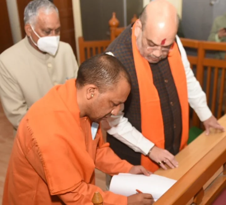 yogi