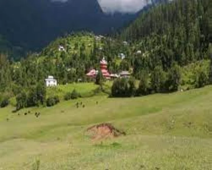 Dharamshala - The cool capital of Himachal धर्मशाळा - हिमाचलची थंडगार राजधानी Bharat Darshan Tourism Marathi  In Webdunia Marathi