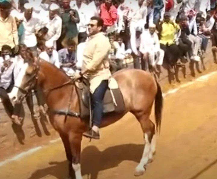 Amol Kolhen rode a horse in a bullock cart race