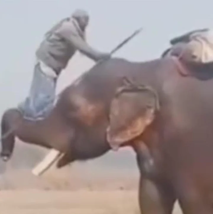 This is Real Bahubali