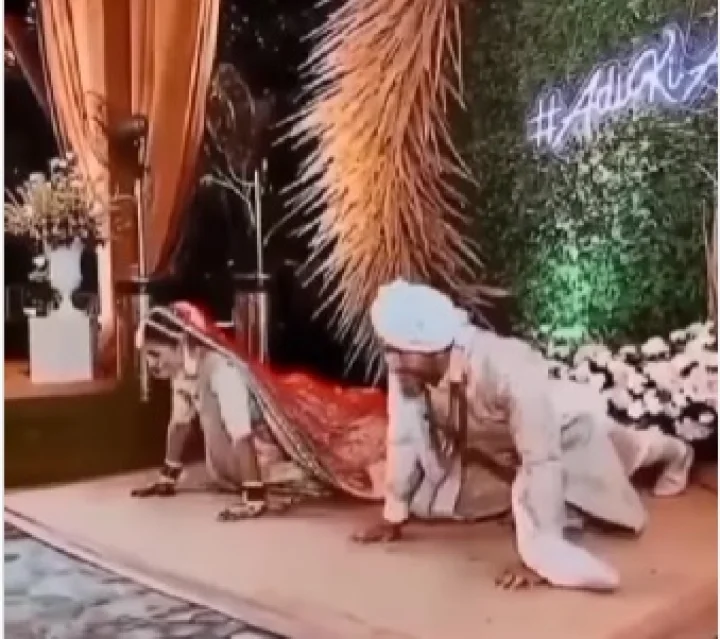 pushup competition