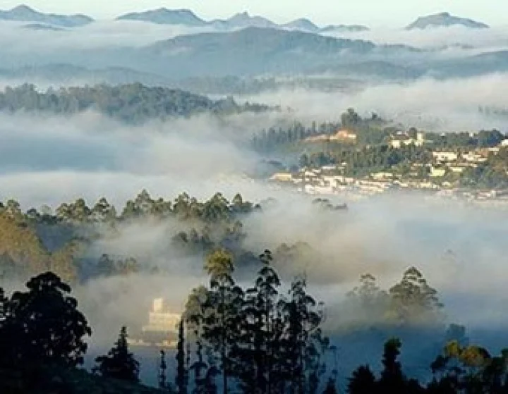 Visit this popular hill station in the summer