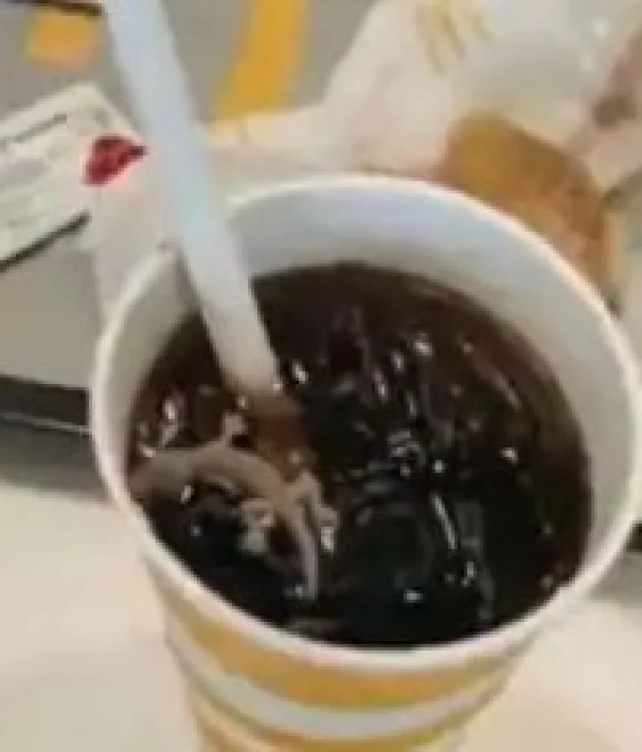 Dead Lizard in a cold drink Outlet seals after video goes viral कोल्ड्रिंकमध्ये पाल निघाली 