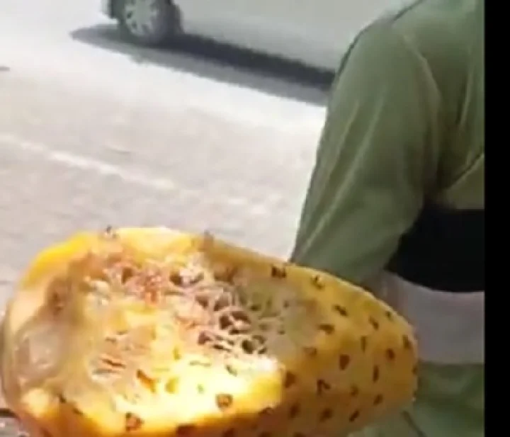 pinapal juice