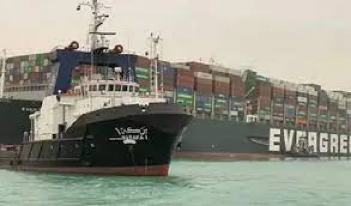Import Export License Procedure