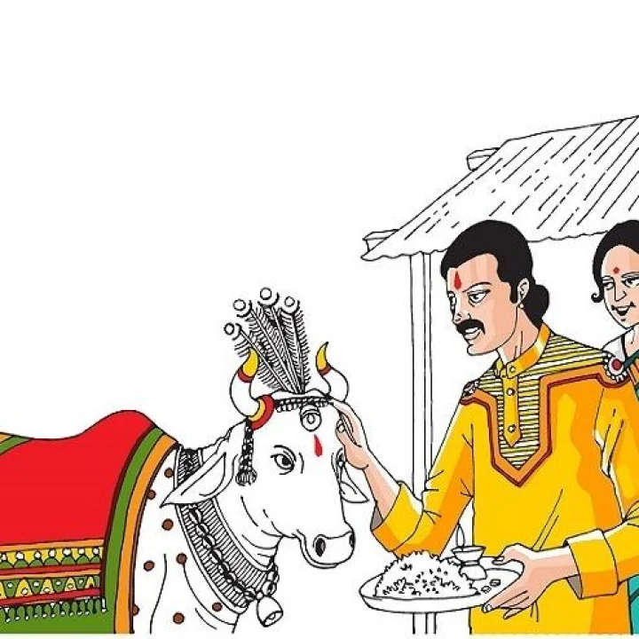 Pola 2023 बैल पोळा 2023 आज आहे, कसा साजरा करतात हा सण