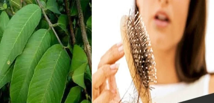 hair fall