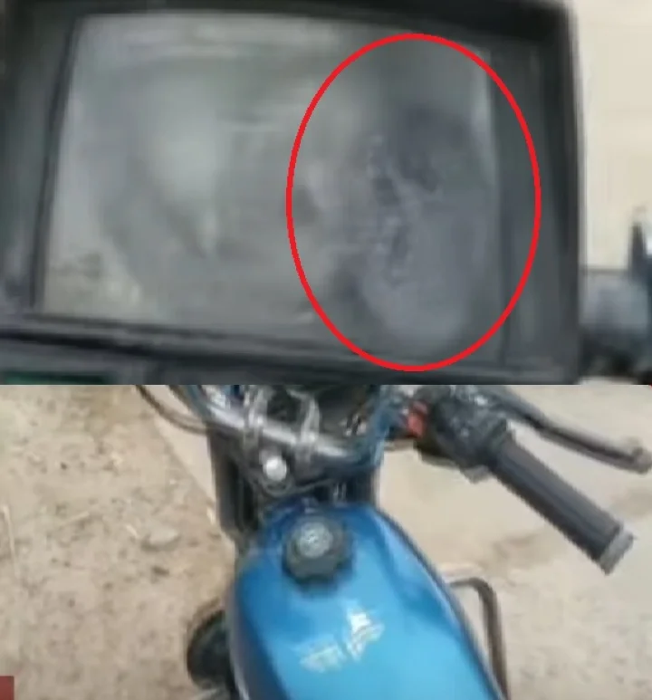 snake in bike
