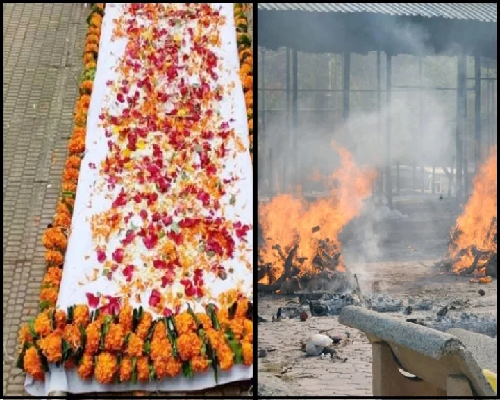 'वडिलांच्या मृतदेहाचे दोन तुकडे करा'