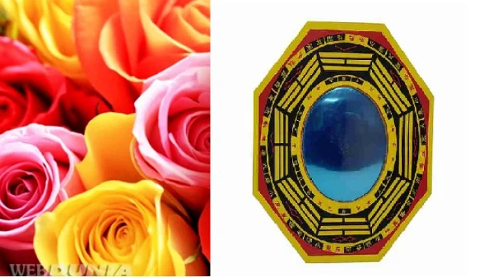 rose vastu tips
