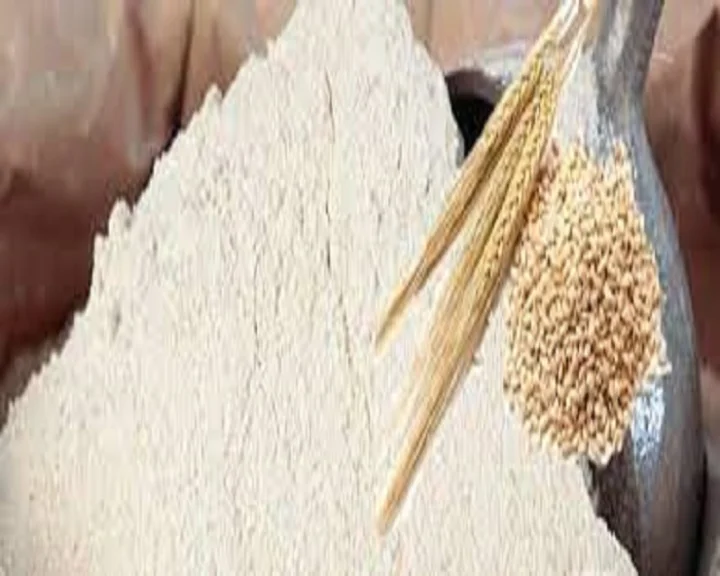 Wheat Flour