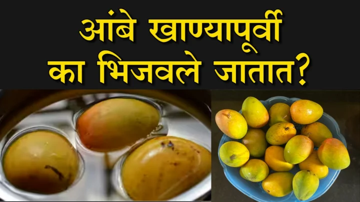 mango soaked in water