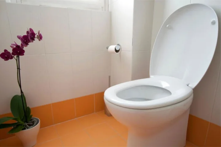 toilet