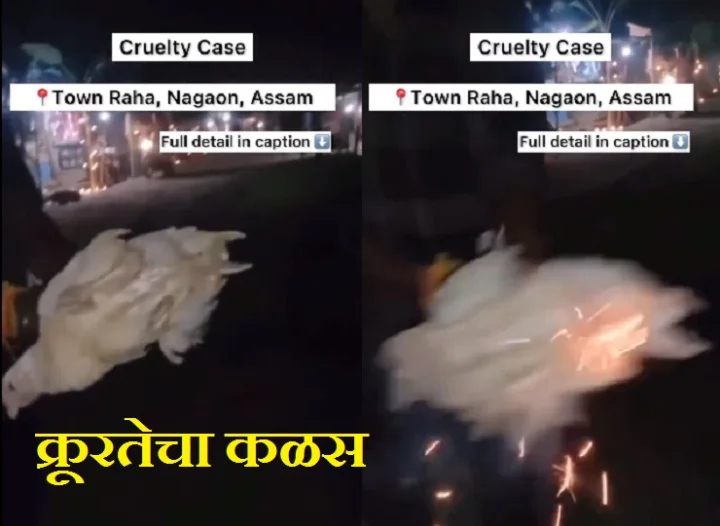 Assam Viral Video
